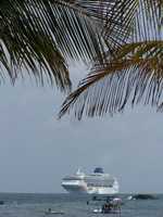 Cruise 318 Ship and palms