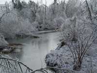 Pictures around Fayetteville, AR January 28, 2009

Ice Storm Jan. 2009 003.jpg