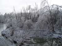 Ice Storm Jan. 2009 004.jpg