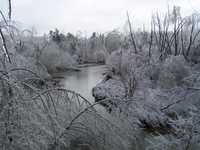 Ice Storm Jan. 2009 006.jpg