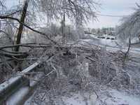 Ice Storm Jan. 2009 007.jpg