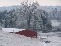 Views from my deck...


Ice Storm Jan. 2009 026.jpg