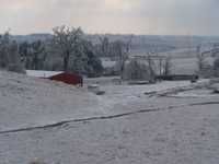 Ice Storm Jan. 2009 029.jpg