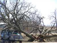 Results of ice...
Scenes around Springdale. 
Not my truck, thank goodness!!
Ice Storm Jan. 2009 033.jpg